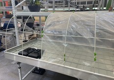 Seedbed supplies from China.